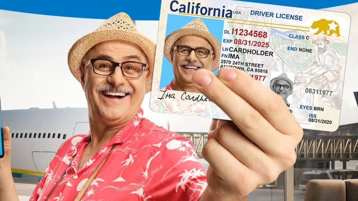 2024 License Renewal for Seniors in California: All You Need to Know