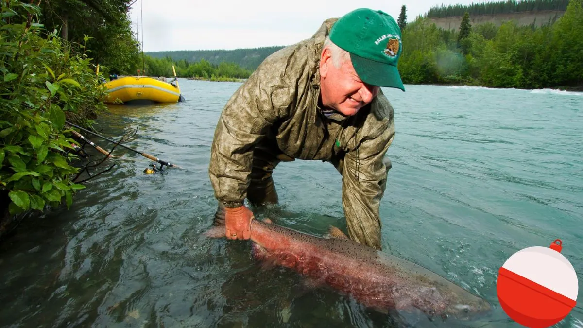 Fishing License for Seniors in Alaska 2024: All You Need to Know