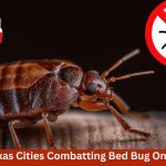 These Texas Cities Combatting Bed Bug Onslaught