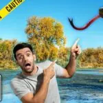 Top 5 Most Snake Infested Lakes in Arizona in 2024