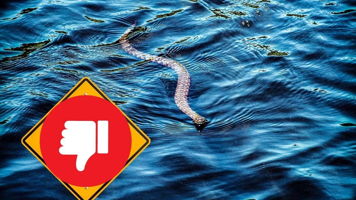 Top 5 Most Snake Infested Lakes in New Jersey in 2024