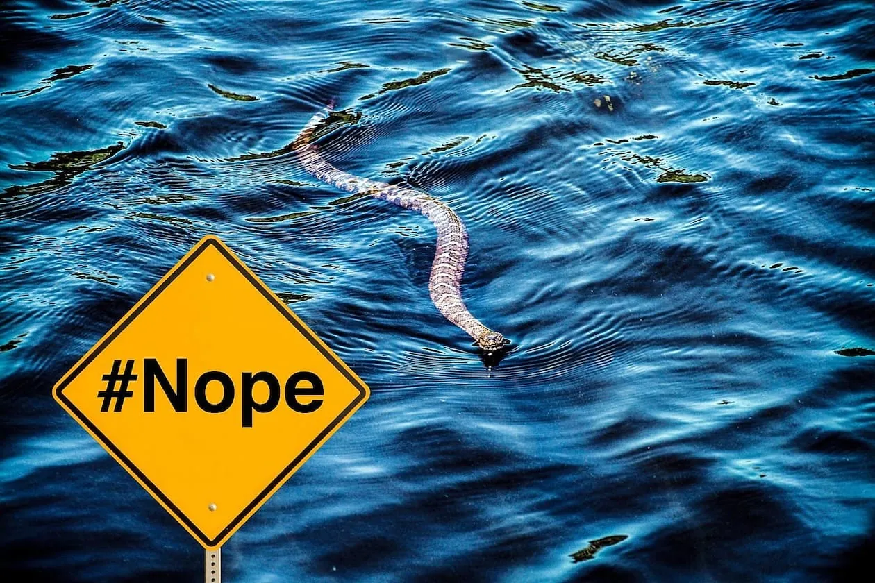 Top 5 Most Snake Infested Lakes in North Carolina in 2024