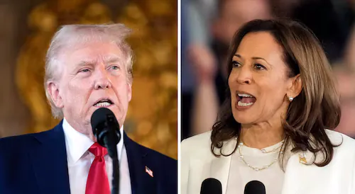 Donald Trump or Kamala Harris for president? Here’s what Texas voters said in new poll