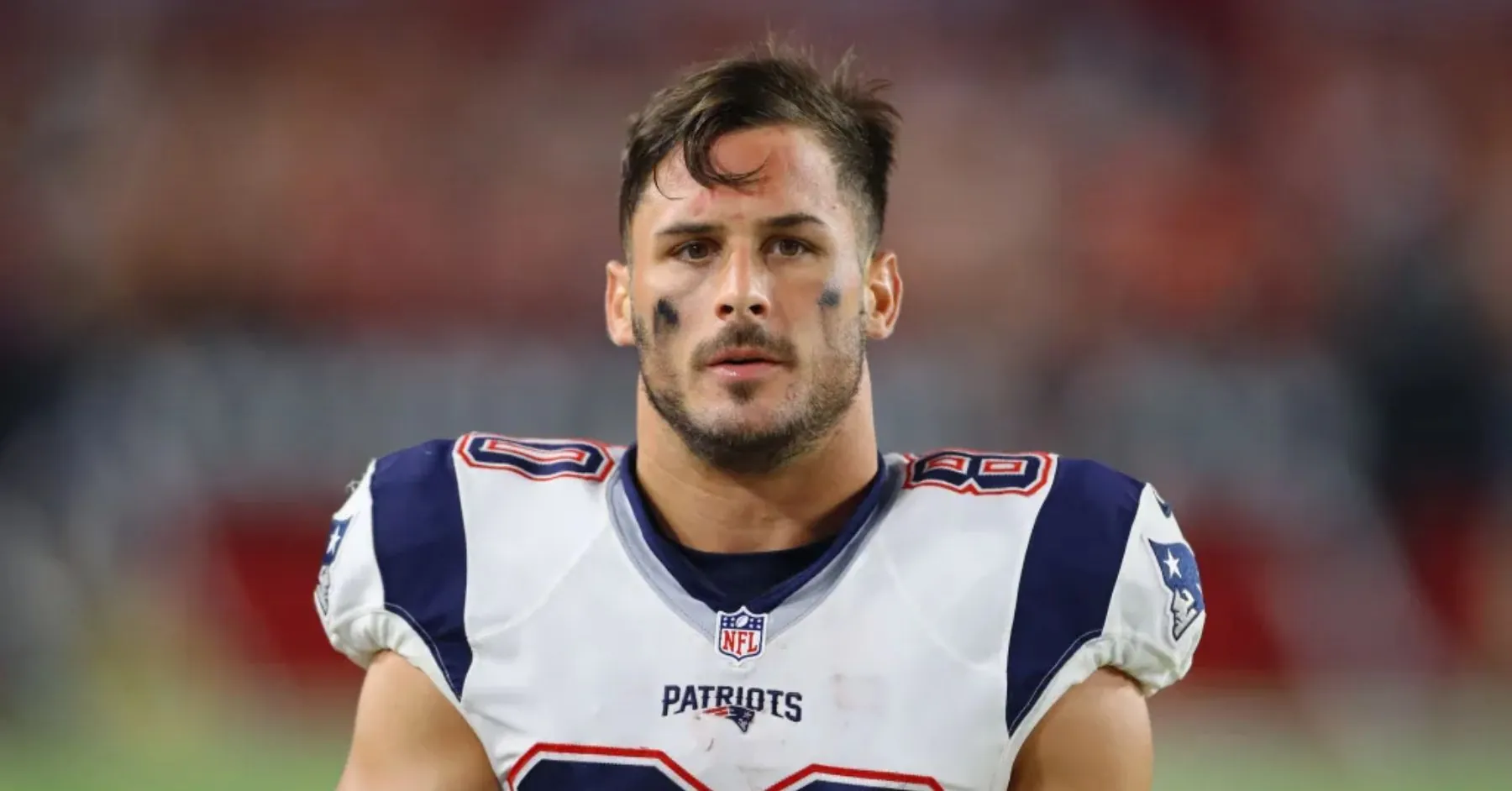 Danny Amendola - Figure 2