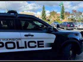 Investigation underway into series of purse-snatching incidents near Gig Harbor supermarkets