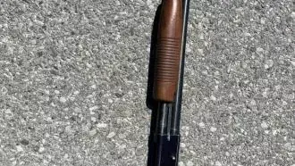 New York State Police Shoot Armed Suspect After Pursuit Near Route 9